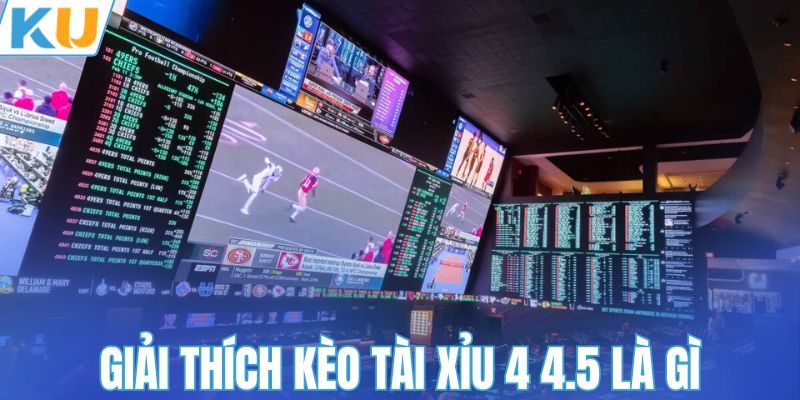 Giải thích kèo tài xỉu 4 4.5 là gì