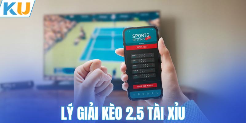 Lý giải kèo 2.5 tài xỉu là gì